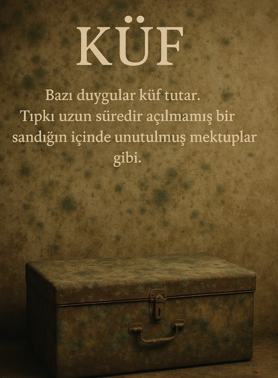 Pelin Şehidoğlu-Küf 030725.jpg